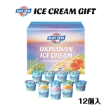 ブルーシールギフト12（送料別）
