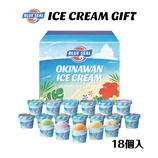 ブルーシールギフト18（送料別）
