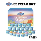 ブルーシールギフト24（送料別）