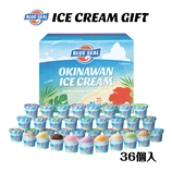 ブルーシールギフト36（送料別）