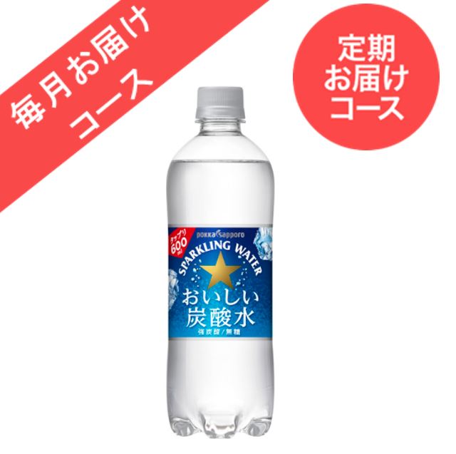 ◆定期お届けコース◆【24本】おいしい炭酸水(600ml)＜毎月お届けコース＞