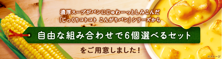 自由な組み合わせで6個選べるセット