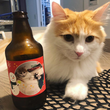インスタ画像